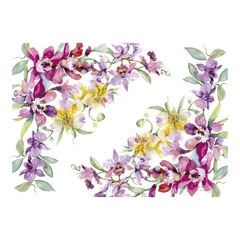 Jogo C/12 Lugares Americanos Bella