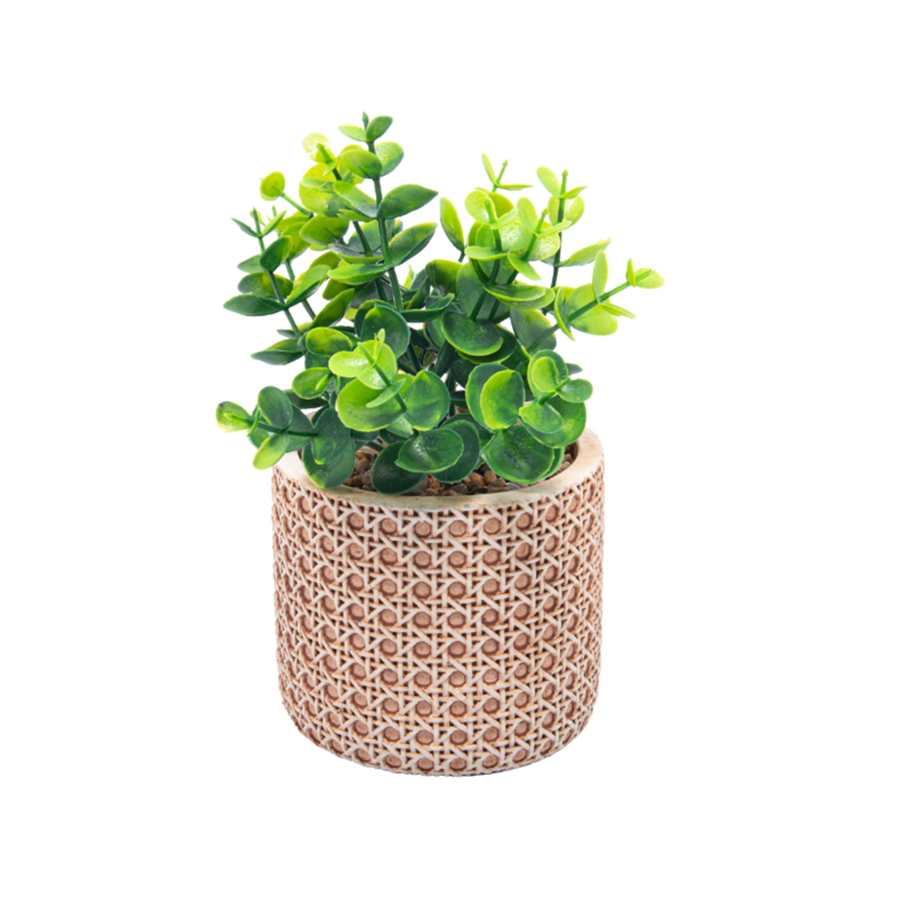 Cachepot Com Suculenta Wolff Treliça 10 X 10 X 18 Cm Cachepot Com Suculenta Wolff Treliça 10 X 10 X 18 Cm