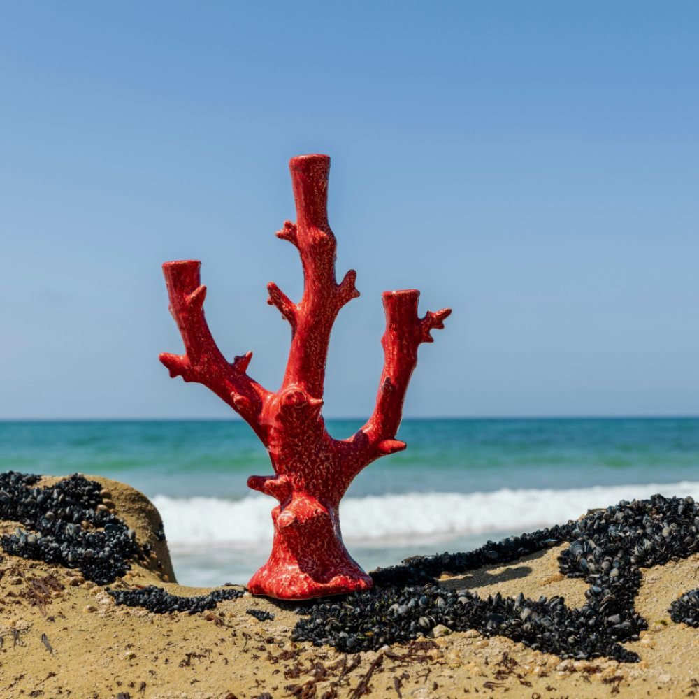 Candelabro Coral Bordallo Candelabro Coral Bordallo