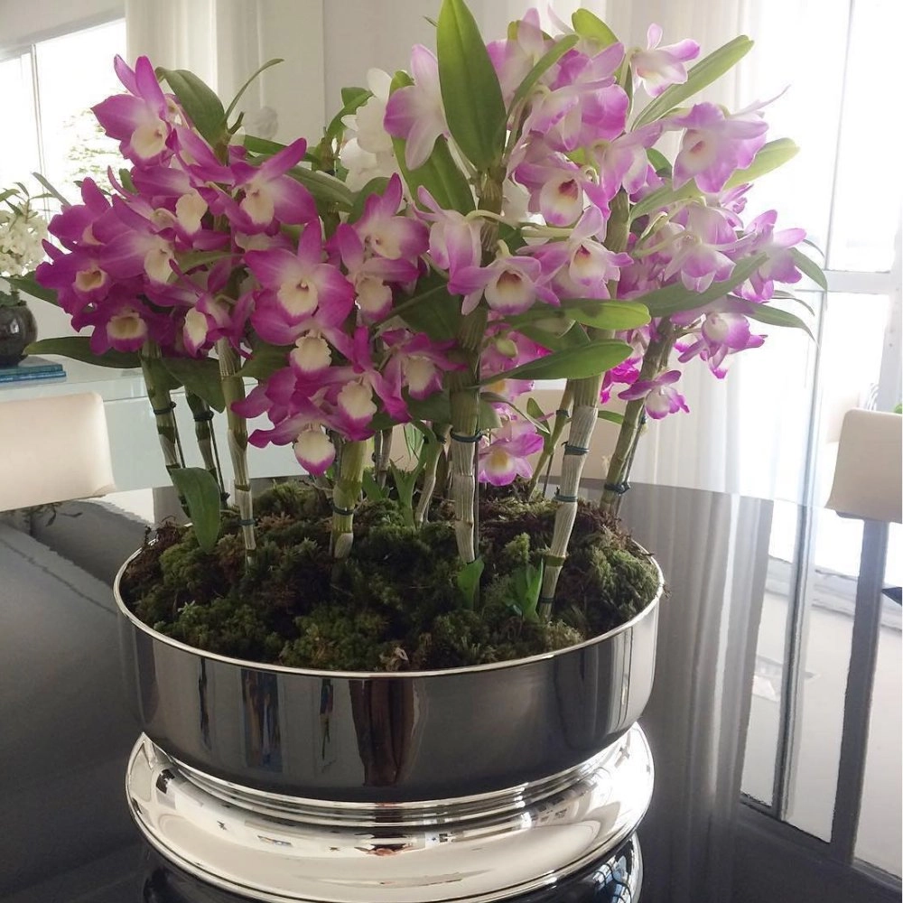 Centro de Mesa St. James Silhouette 24 X 10 Cm