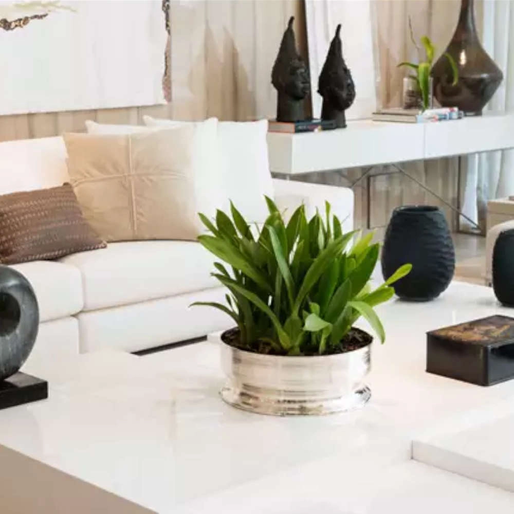 Centro de Mesa St James Spin