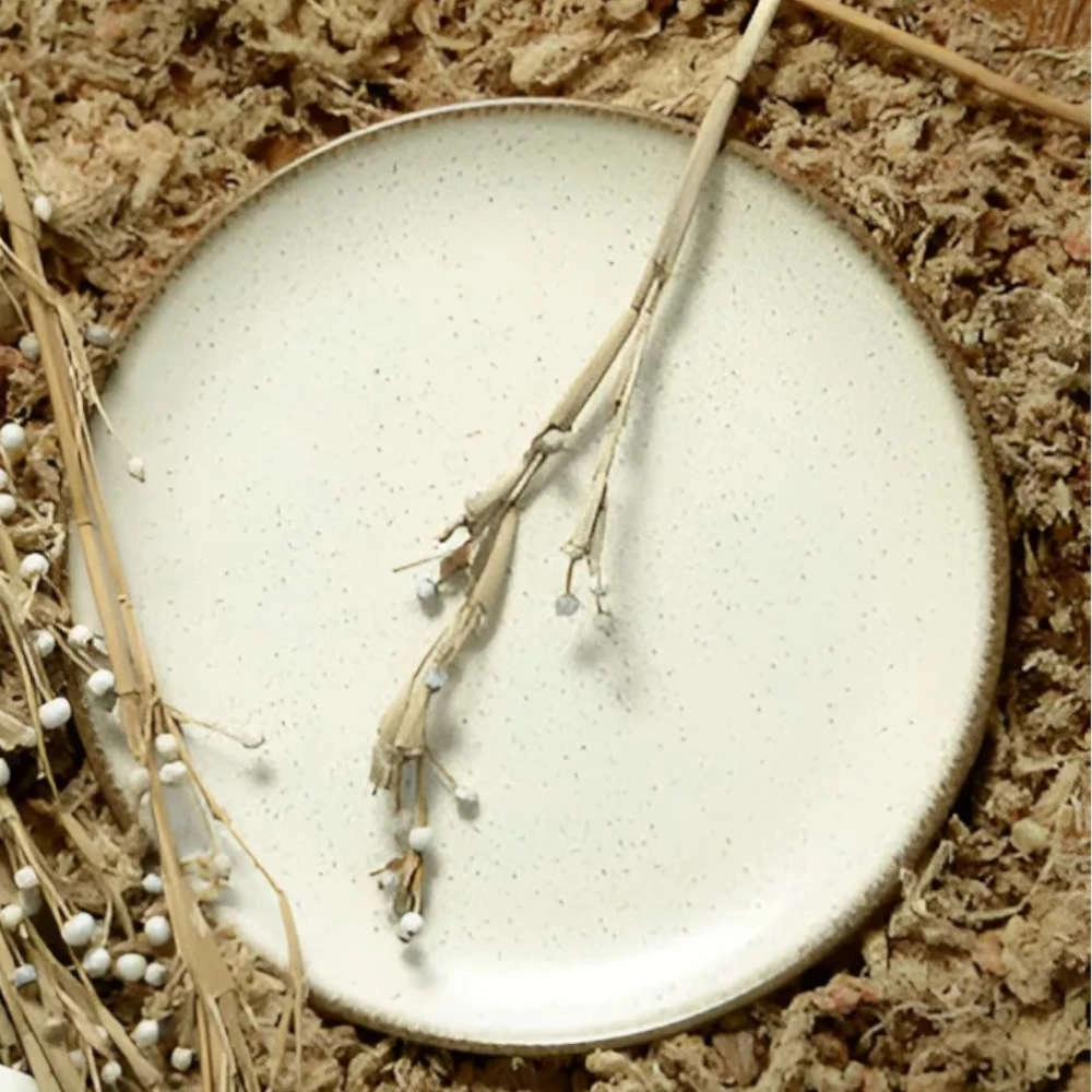 Jogo de Pratos Fundos Coup Vanilla Ceramica Alleanza 6 Pecas Jogo de Pratos Fundos Coup Vanilla Ceramica Alleanza 6 Pecas