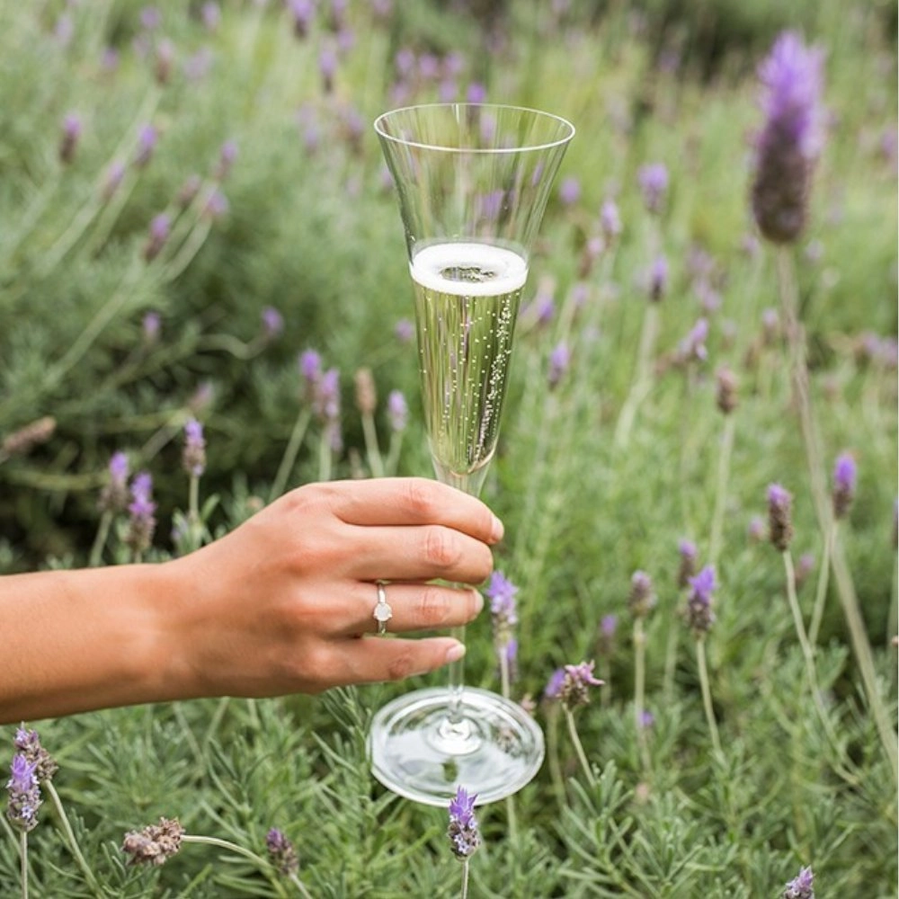 Jogo de Tacas Para Champanhe Strauss Sommelier Lisa Jogo de Tacas Para Champanhe Strauss Sommelier Lisa