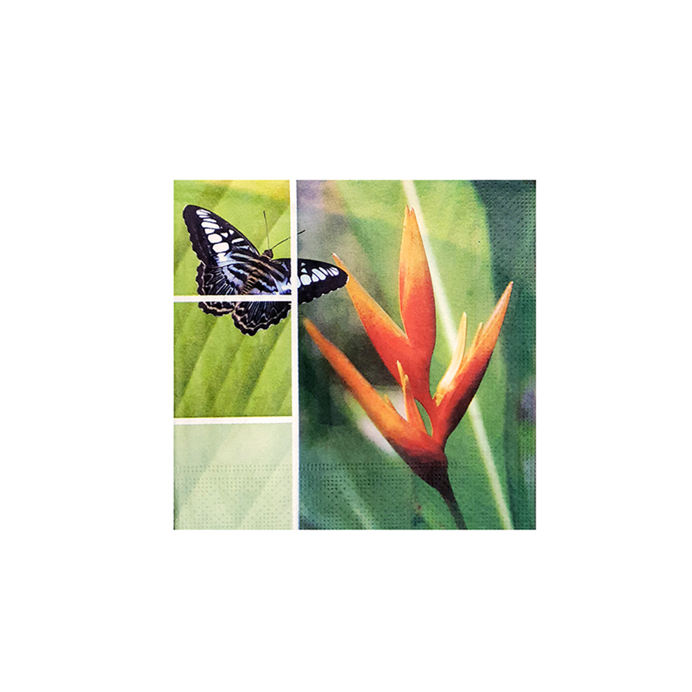 Pacote de Guardanapos Free Free Estampado Bico de Papagaio 33 X 33 Cm Pacote de Guardanapos Free Free Estampado Bico de Papagaio 33 X 33 Cm