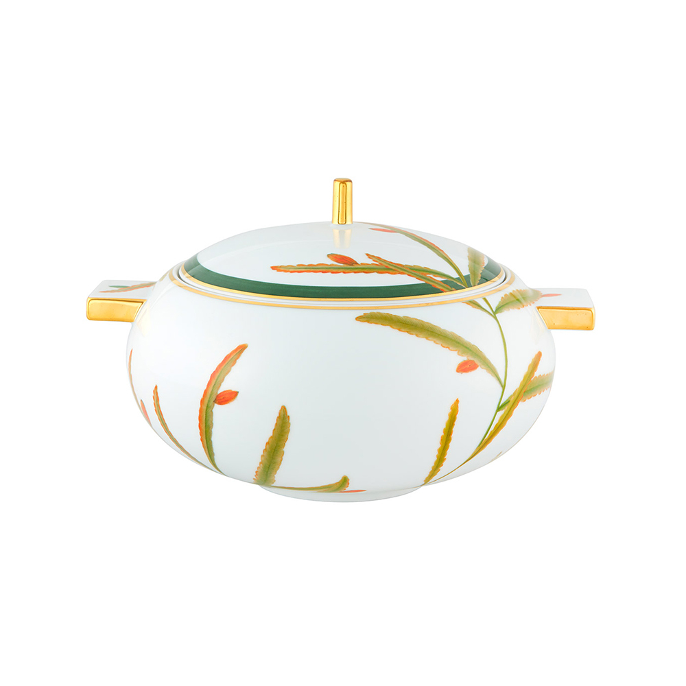 Sopeira Vista Alegre Amazonia