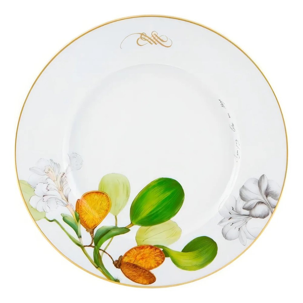 Prato Raso Vista Alegre Amazonia 30 Cm