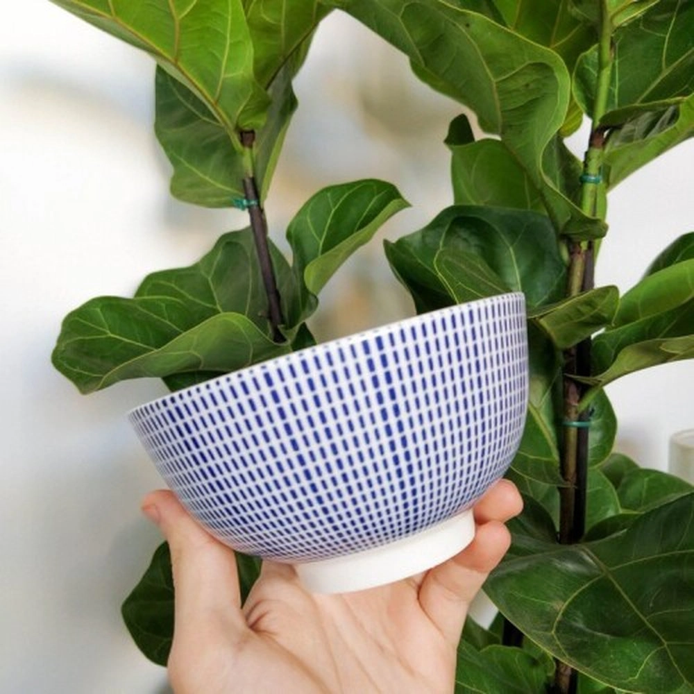Bowl Lyor Atlantis 13,5 Cm Bowl Lyor Atlantis 13,5 Cm