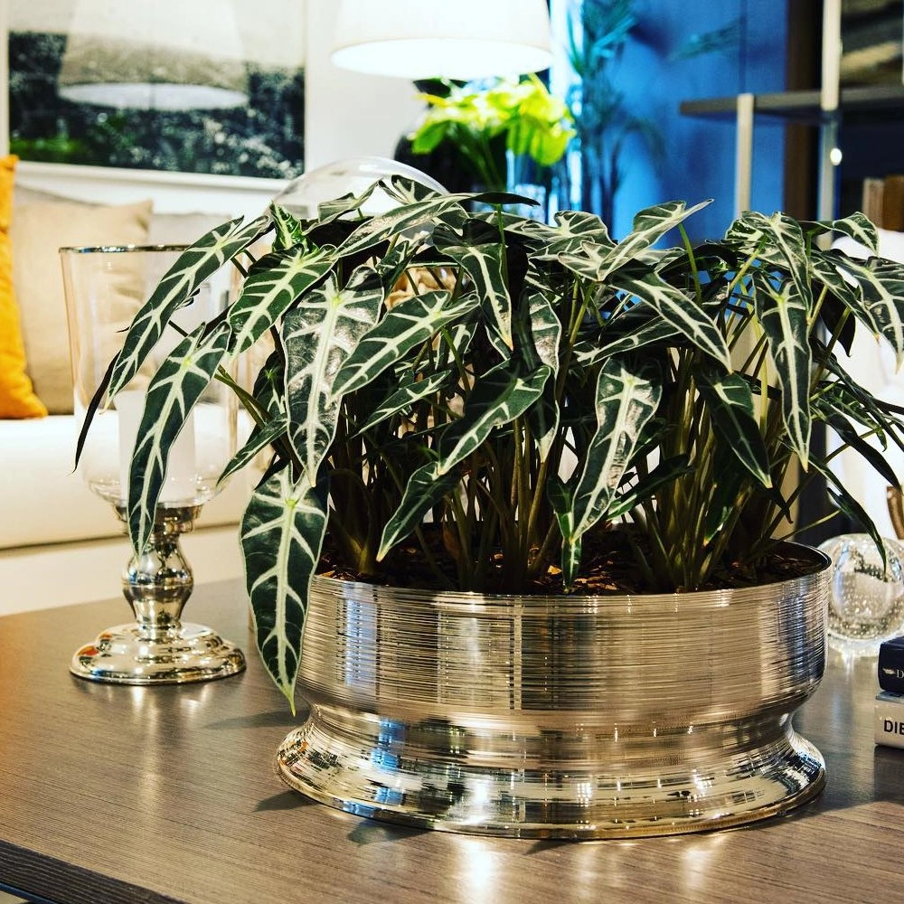 Centro de Mesa St. James Spin 24 X 10 Cm