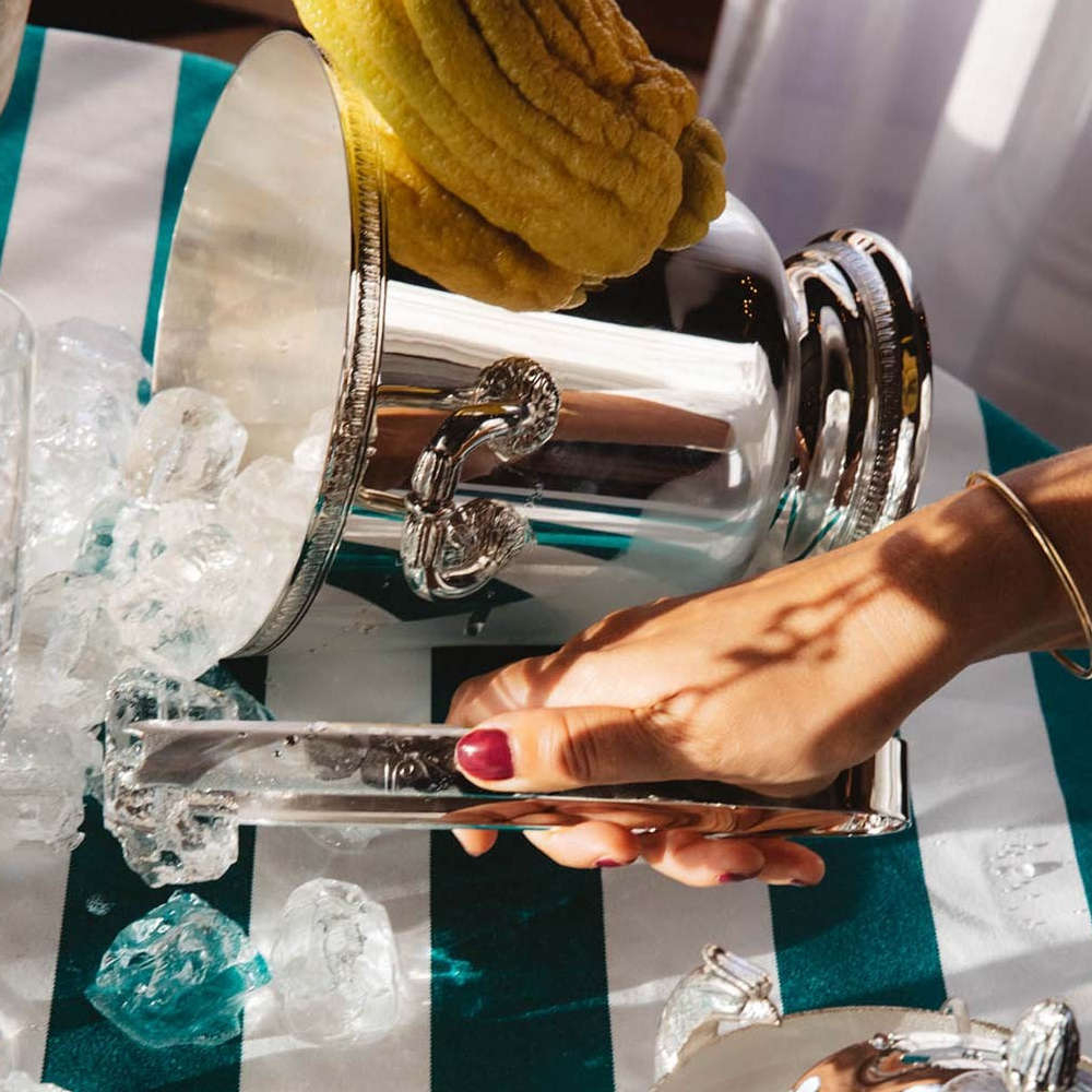 Pinca Para Gelo Malmaison Christofle Pinca Para Gelo Malmaison Christofle