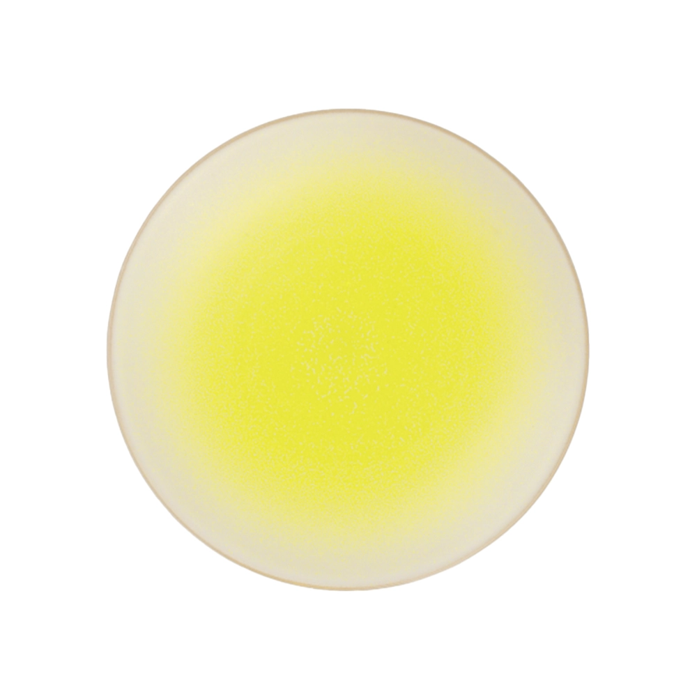 Prato Raso Asa Selection Koi By Tim Raue 23 Cm - Cada